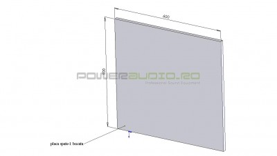 placa spate.jpg