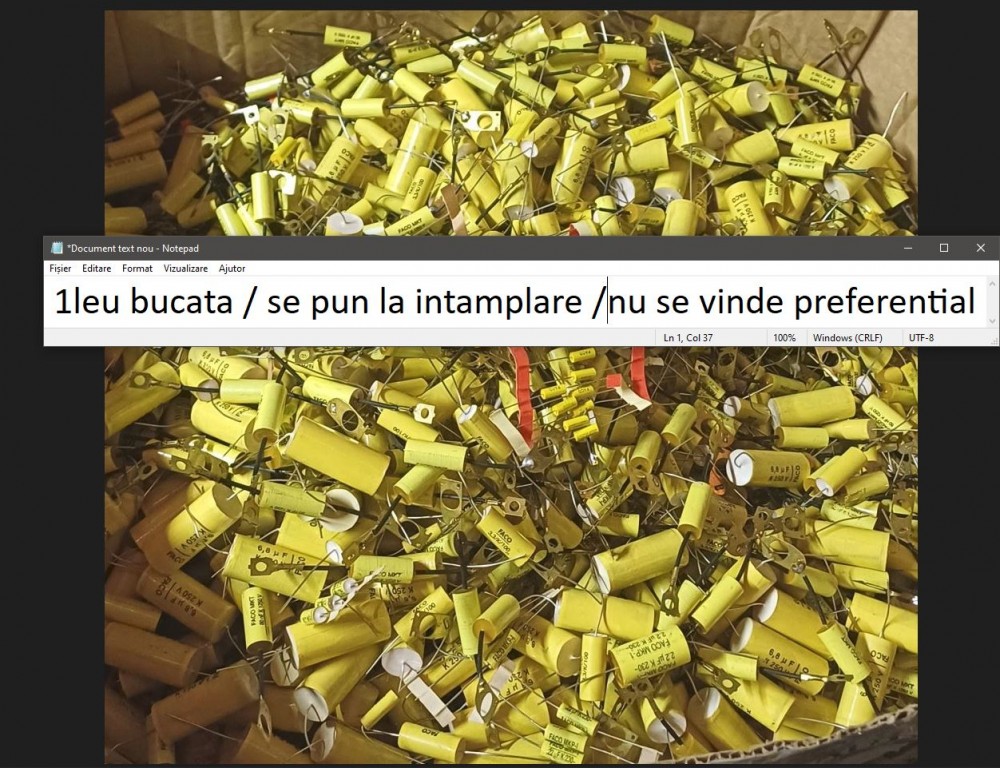 1faco.JPG