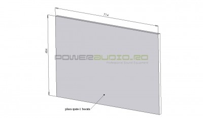 placa spate.jpg