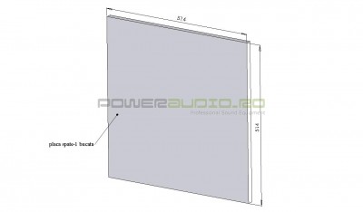 placa spate.jpg