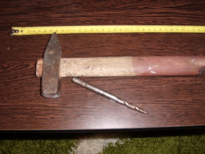 SL278653.JPG