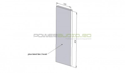 placa lateral fata.jpg