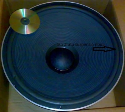 2wq5301.jpg